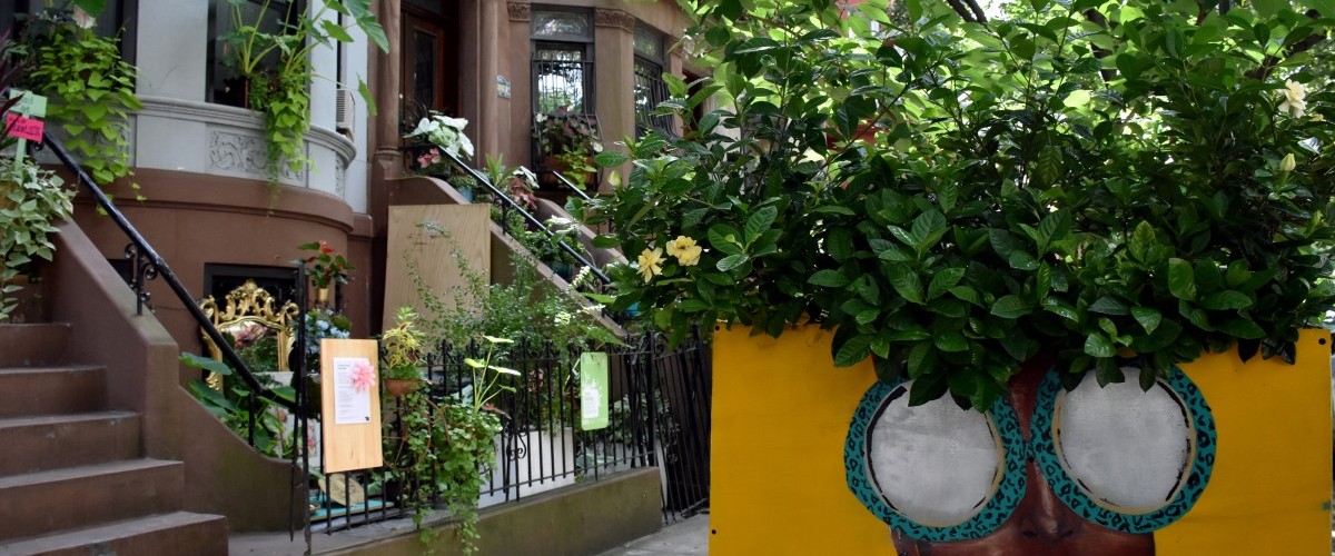 A verdant sidewalk planter with brownstones displaying window boxes and plants in the background